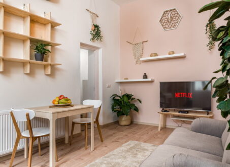 Stylish and Cozy Apartment close to Danube bank, in Lónyay street