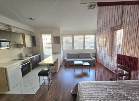 Cozy Studio in Corvin Promenade