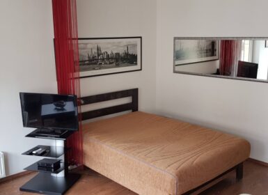 Cozy Studio in Corvin Promenade