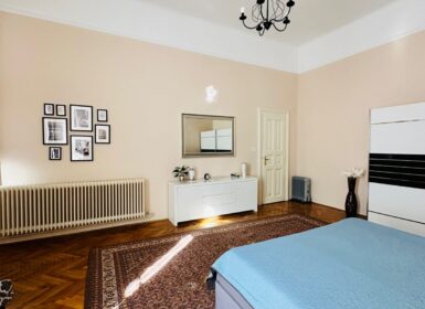 Spacious One-bedroom + Study room Apartment in József Krt