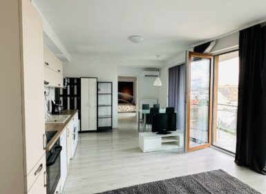 NEWLY BUILT One-bedroom close to CORVIN