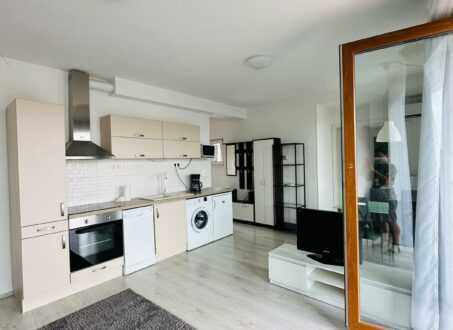 NEWLY BUILT One-bedroom close to CORVIN