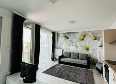 NEWLY BUILT One-bedroom close to CORVIN