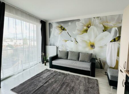 NEWLY BUILT One-bedroom close to CORVIN