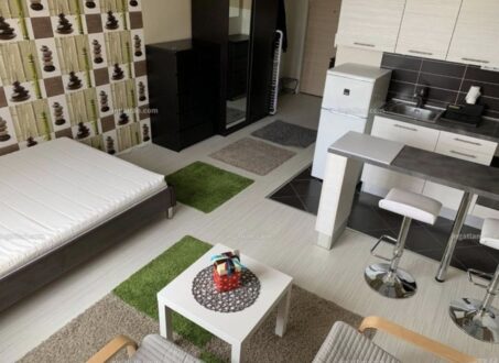 Modern Studio Apartment for Rent on Corvin Promenade