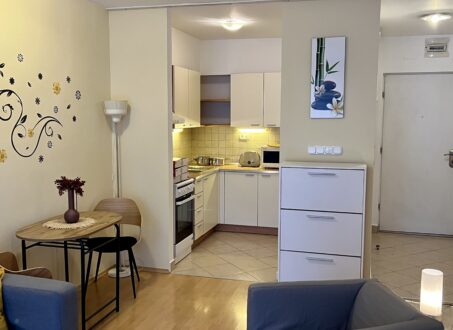 Newly Built One-bedroom Apartment close to Semmelweis Unviersity