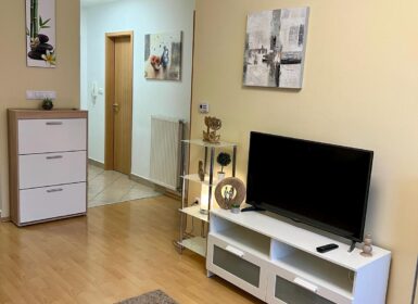 Newly Built One-bedroom Apartment close to Semmelweis Unviersity