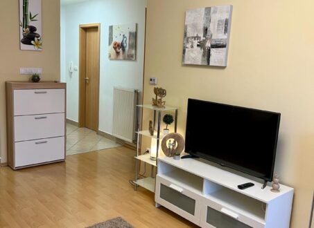 Newly Built One-bedroom Apartment close to Semmelweis Unviersity