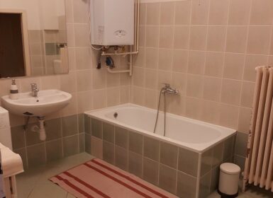 One-bedroom in Petőfi Sándor street – from June