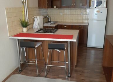 One-bedroom in Petőfi Sándor street – from June