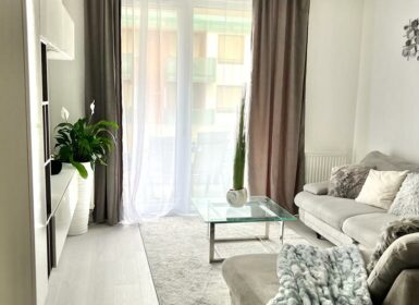 Furnished one-bedroom in Corvin sétány FOR SALE