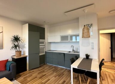 Stylish One-bedroom close to Tram Line 1 – from August