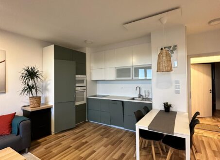 Stylish One-bedroom close to Tram Line 1 – from August