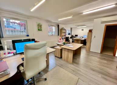 4-apartment FAMILY HOUSE with garden FOR SALE in Római part, next to Danube River