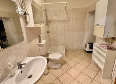 4-apartment FAMILY HOUSE with garden FOR SALE in Római part, next to Danube River