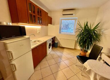 4-apartment FAMILY HOUSE with garden FOR SALE in Római part, next to Danube River