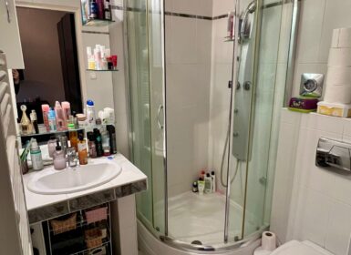 4-apartment FAMILY HOUSE with garden FOR SALE in Római part, next to Danube River