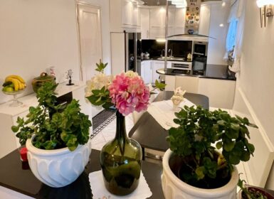 4-apartment FAMILY HOUSE with garden FOR SALE in Római part, next to Danube River