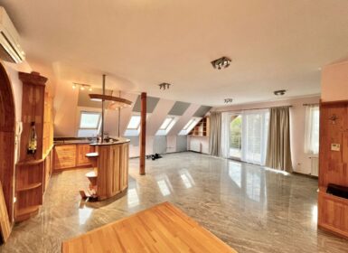 4-apartment FAMILY HOUSE with garden FOR SALE in Római part, next to Danube River