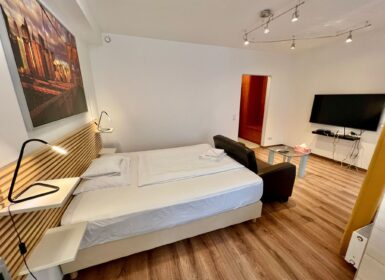 Furnished studio FOR SALE in Corvin sétány