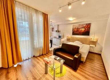 Furnished studio FOR SALE in Corvin sétány