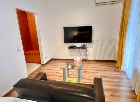 Furnished studio FOR SALE in Corvin sétány