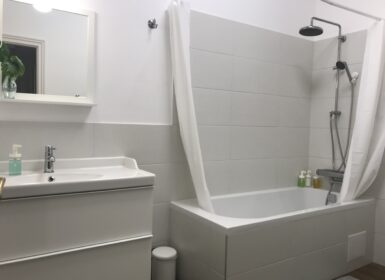 2 apartment in one flat: 2-bedroom and 1-bedroom FOR SALE in Palace District VIII.