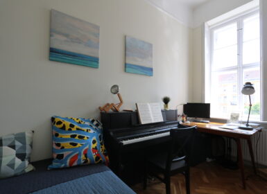 Renovated 2-bedroom apartment FOR SALE in Palace district