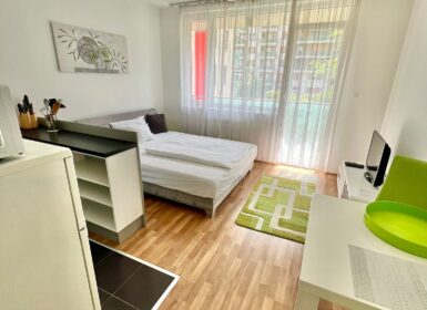 Furnished studio FOR SALE in Corvin sétány