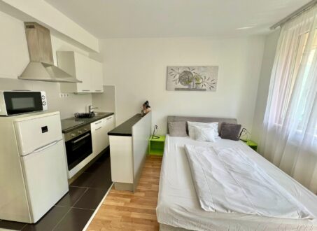 Furnished studio FOR SALE in Corvin sétány