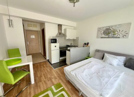 Furnished studio FOR SALE in Corvin sétány