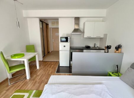 Furnished studio FOR SALE in Corvin sétány