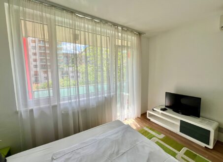 Furnished studio FOR SALE in Corvin sétány