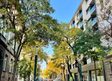 Furnished 3-bedroom, 2-bathroom FOR SALE next to Mátyás and Teleki tér