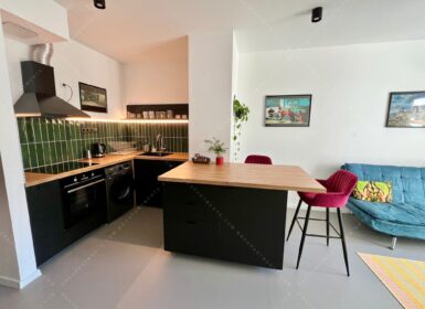Stylish furnished one-bedroom with storage FOR SALE in Corvin sétány