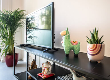 Stylish furnished one-bedroom with storage FOR SALE in Corvin sétány