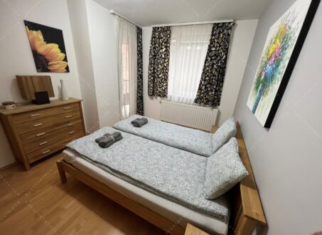 Furnished and renovated one-bedroom close to Wesselényi út