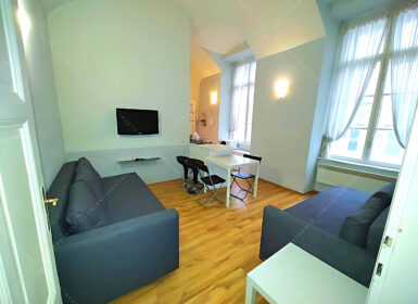 One-bedroom Apartment in city center, close to Szabadság square