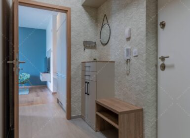 Luxury One-bedroom Apartment for Rent in Bulcsú street, WESTSIDE Residence