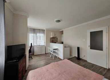 Bright Studio for Rent in Botond street – from February