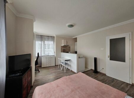 Bright Studio for Rent in Botond street – from February