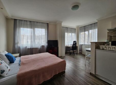 Bright Studio for Rent in Botond street – from February