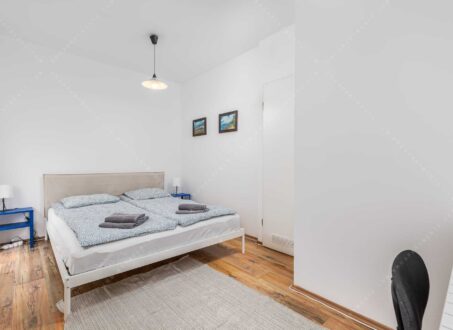Spacious 2 Bedroom PENTHOUSE for Rent in Práter street – from September
