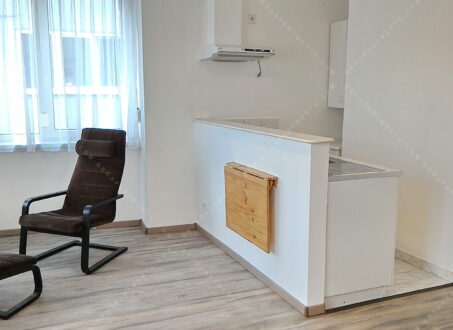 Bright Studio for Rent in Botond street – from February