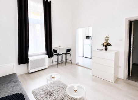 STUDIO in Tömő street -from June