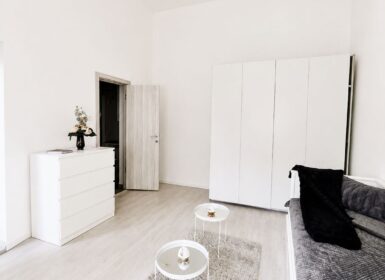 STUDIO in Tömő street -from June