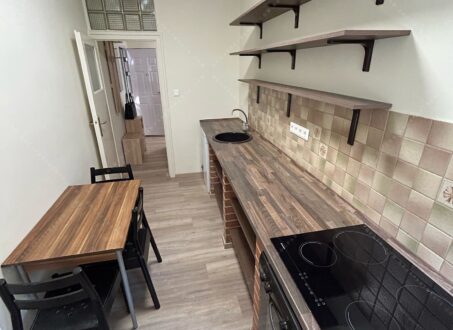 Renovated One-Bedroom close to Mammut