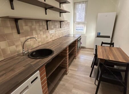 Renovated One-Bedroom close to Mammut