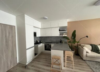Stylish Apartment with Terrace – from August