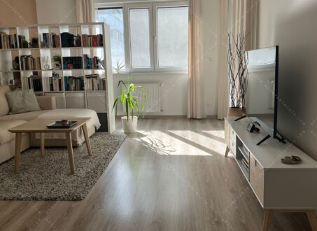 Stylish Apartment with Terrace – from August